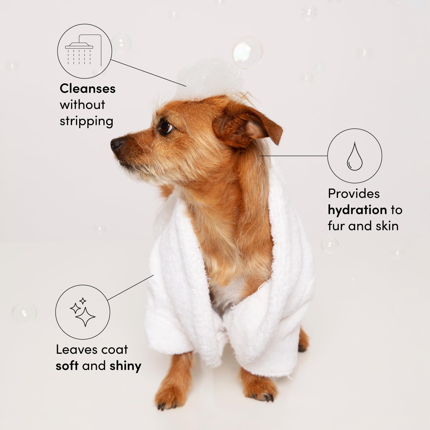 Hydrating Pet Shampoo with Aloe Vera & Panthenol