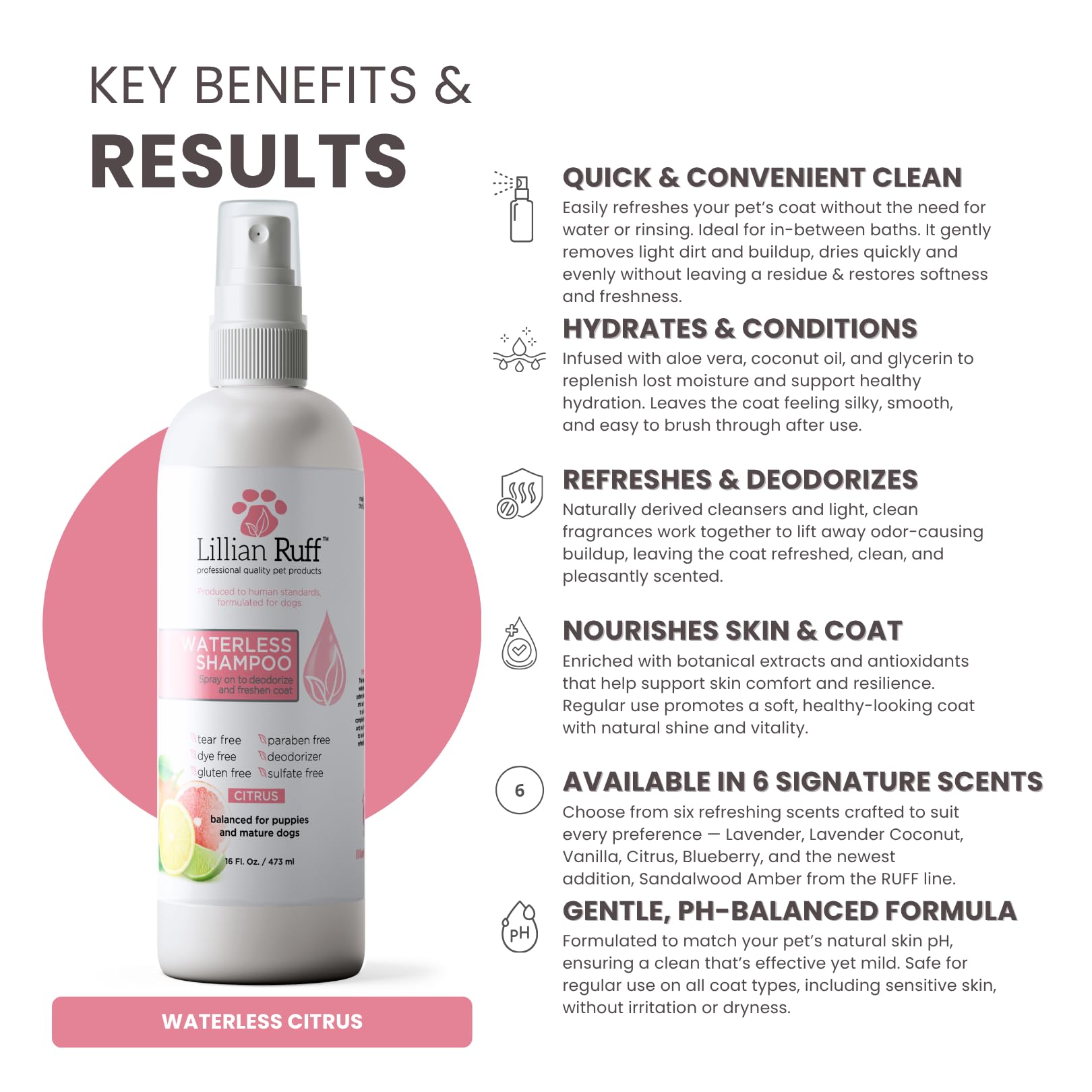 Dog Grooming Starter Kit with Oatmeal Shampoo, Conditioner & Care Essentials