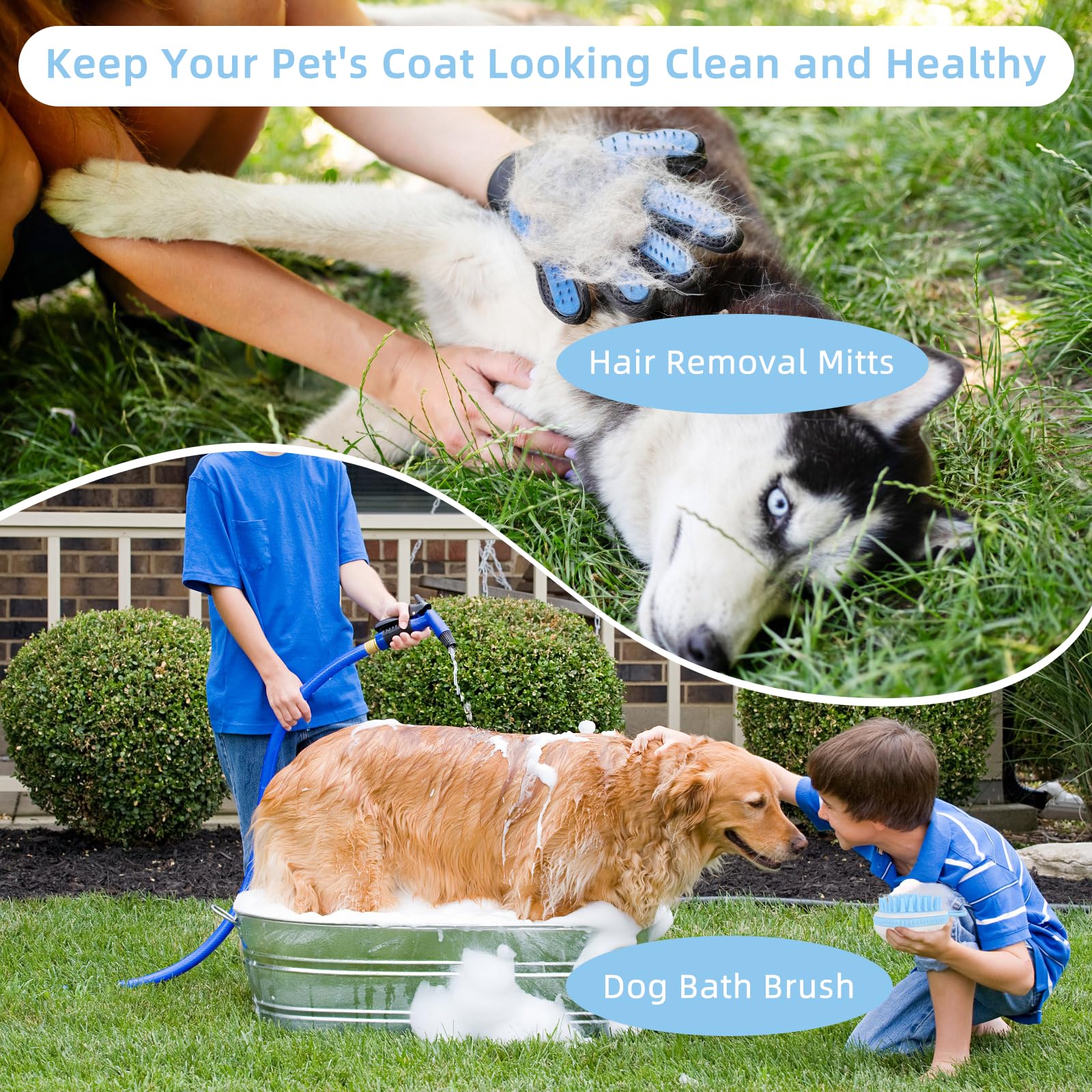 Pet Grooming Tool Kit with Stainless Steel Combs & Nail Clippers (7-Piece Set)